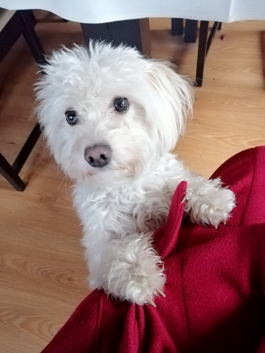 Być ze mną po prostu